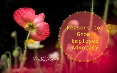 Reasons to Grow Employee Advocacy