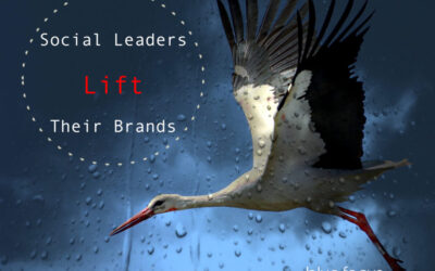 Social Leaders Lift Their Brands