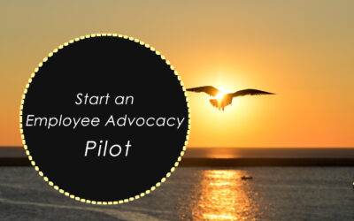 Social Business Leaders:  Start an Employee Advocacy Pilot